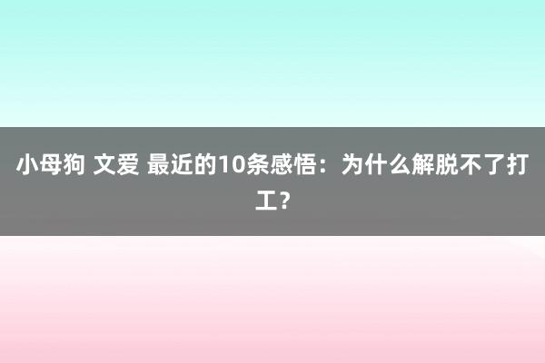 小母狗 文爱 最近的10条感悟：为什么解脱不了打工？