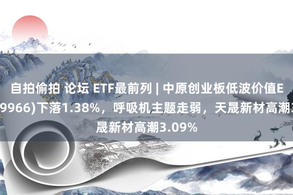 自拍偷拍 论坛 ETF最前列 | 中原创业板低波价值ETF(159966)下落1.38%，呼吸机主题走弱，天晟新材高潮3.09%