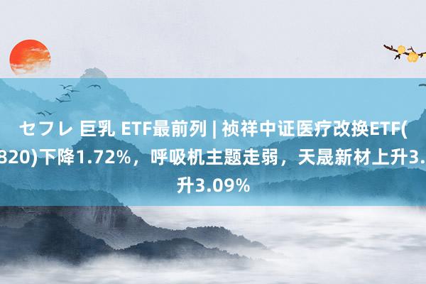 セフレ 巨乳 ETF最前列 | 祯祥中证医疗改换ETF(516820)下降1.72%，呼吸机主题走弱，天晟新材上升3.09%