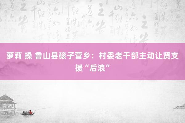 萝莉 操 鲁山县磙子营乡：村委老干部主动让贤支援“后浪”