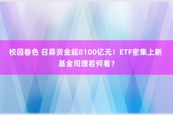 校园春色 召募资金超8100亿元！ETF密集上新 基金司理若何看？