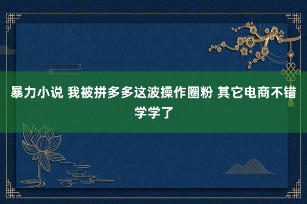 暴力小说 我被拼多多这波操作圈粉 其它电商不错学学了