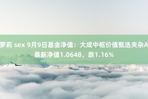 萝莉 sex 9月9日基金净值：大成中枢价值甄选夹杂A最新净值1.0648，跌1.16%