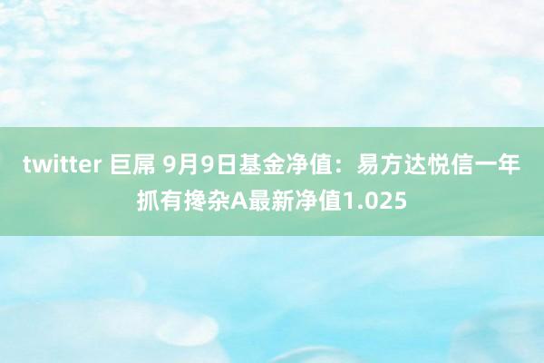 twitter 巨屌 9月9日基金净值：易方达悦信一年抓有搀杂A最新净值1.025