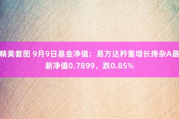 精美套图 9月9日基金净值：易方达矜重增长搀杂A最新净值0.7899，跌0.85%