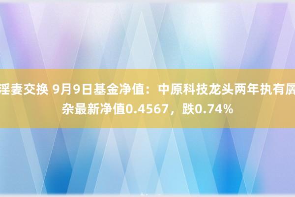 淫妻交换 9月9日基金净值：中原科技龙头两年执有羼杂最新净值0.4567，跌0.74%