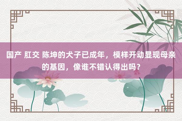 国产 肛交 陈坤的犬子已成年，模样开动显现母亲的基因，像谁不错认得出吗？