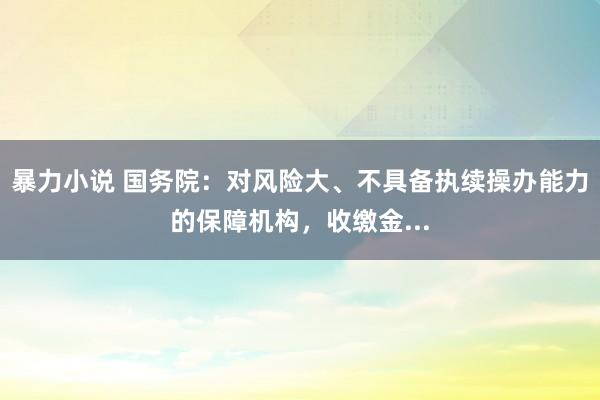 暴力小说 国务院：对风险大、不具备执续操办能力的保障机构，收缴金...