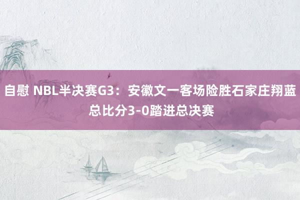 自慰 NBL半决赛G3：安徽文一客场险胜石家庄翔蓝 总比分3-0踏进总决赛