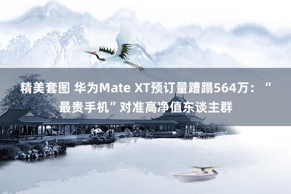 精美套图 华为Mate XT预订量蹧蹋564万：“最贵手机”对准高净值东谈主群