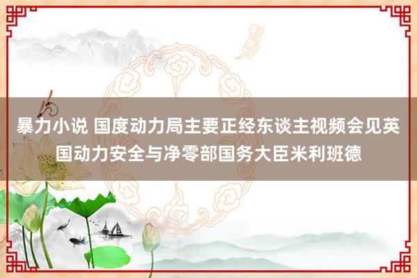 暴力小说 国度动力局主要正经东谈主视频会见英国动力安全与净零部国务大臣米利班德