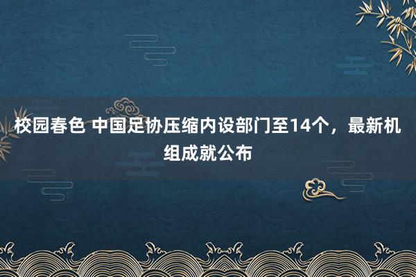 校园春色 中国足协压缩内设部门至14个，最新机组成就公布