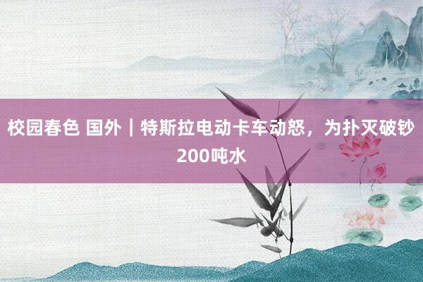 校园春色 国外｜特斯拉电动卡车动怒，为扑灭破钞200吨水