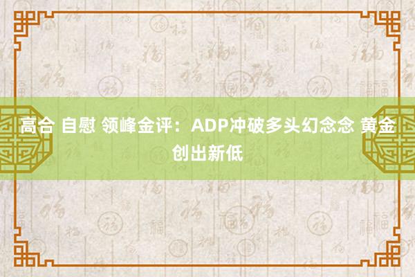 高合 自慰 领峰金评：ADP冲破多头幻念念 黄金创出新低