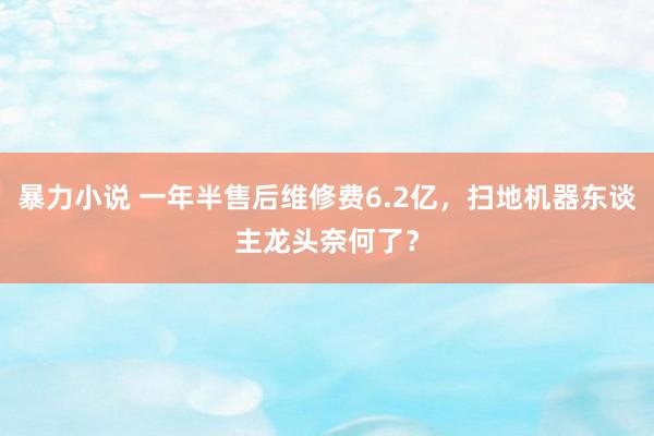 暴力小说 一年半售后维修费6.2亿，扫地机器东谈主龙头奈何了？