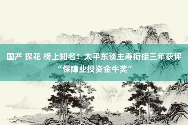 国产 探花 榜上知名！太平东谈主寿衔接三年获评“保障业投资金牛奖”