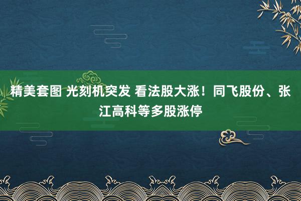 精美套图 光刻机突发 看法股大涨！同飞股份、张江高科等多股涨停