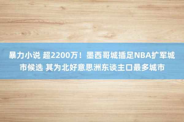 暴力小说 超2200万！墨西哥城插足NBA扩军城市候选 其为北好意思洲东谈主口最多城市