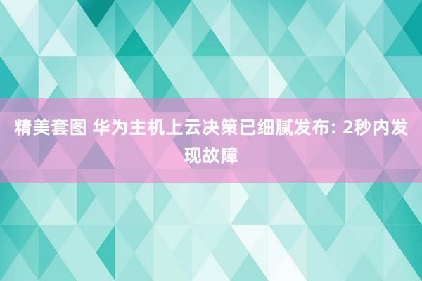 精美套图 华为主机上云决策已细腻发布: 2秒内发现故障