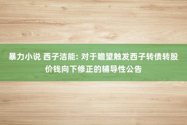 暴力小说 西子洁能: 对于瞻望触发西子转债转股价钱向下修正的辅导性公告