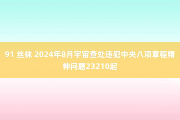 91 丝袜 2024年8月宇宙查处违犯中央八项章程精神问题23210起