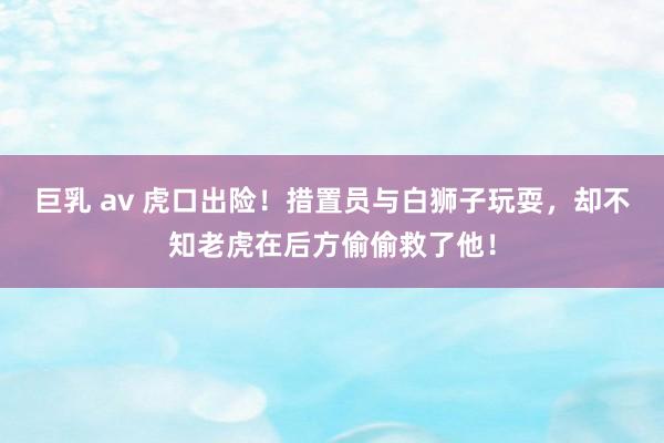 巨乳 av 虎口出险！措置员与白狮子玩耍，却不知老虎在后方偷偷救了他！