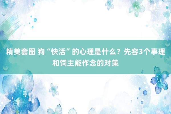 精美套图 狗“快活”的心理是什么？先容3个事理和饲主能作念的对策