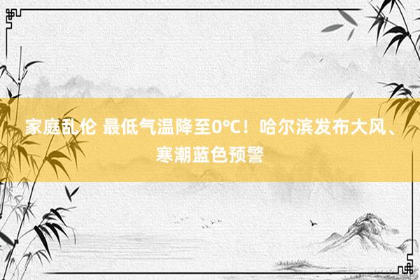 家庭乱伦 最低气温降至0℃！哈尔滨发布大风、寒潮蓝色预警