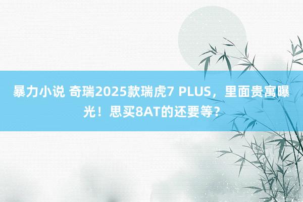 暴力小说 奇瑞2025款瑞虎7 PLUS，里面贵寓曝光！思买8AT的还要等？