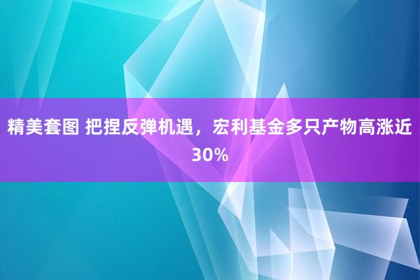 精美套图 把捏反弹机遇，宏利基金多只产物高涨近30%