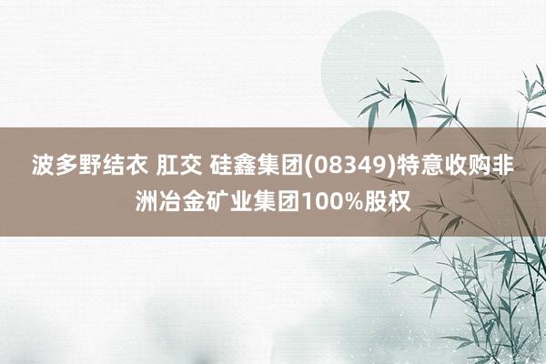 波多野结衣 肛交 硅鑫集团(08349)特意收购非洲冶金矿业集团100%股权