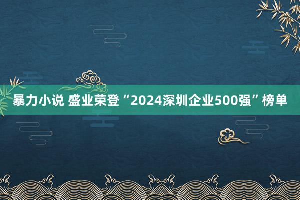 暴力小说 盛业荣登“2024深圳企业500强”榜单