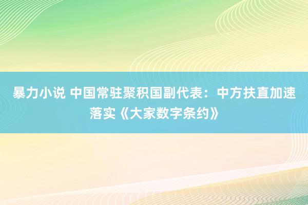 暴力小说 中国常驻聚积国副代表：中方扶直加速落实《大家数字条约》