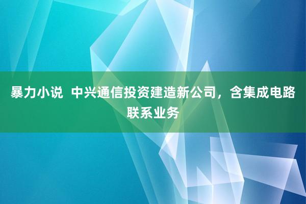 暴力小说  中兴通信投资建造新公司，含集成电路联系业务