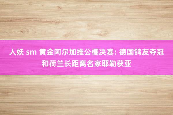 人妖 sm 黄金阿尔加维公棚决赛: 德国鸽友夺冠和荷兰长距离名家耶勒获亚