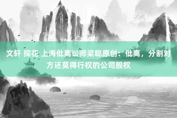 文轩 探花 上海仳离讼师梁聪原创：仳离，分割对方还莫得行权的公司股权