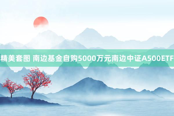 精美套图 南边基金自购5000万元南边中证A500ETF