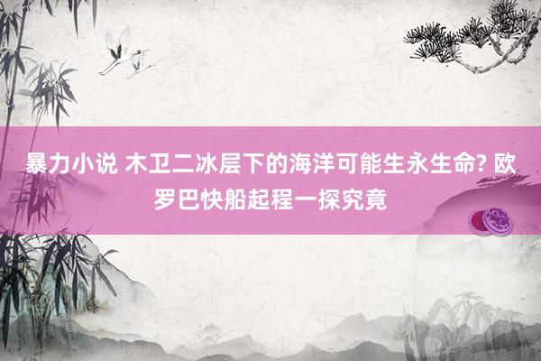 暴力小说 木卫二冰层下的海洋可能生永生命? 欧罗巴快船起程一探究竟