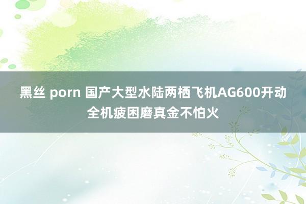 黑丝 porn 国产大型水陆两栖飞机AG600开动全机疲困磨真金不怕火