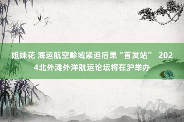 姐妹花 海运航空畛域紧迫后果“首发站”  2024北外滩外洋航运论坛将在沪举办