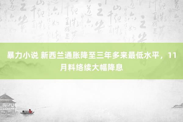 暴力小说 新西兰通胀降至三年多来最低水平，11月料络续大幅降息