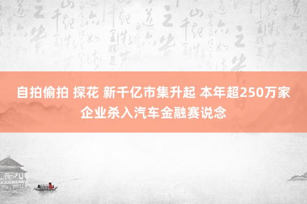 自拍偷拍 探花 新千亿市集升起 本年超250万家企业杀入汽车金融赛说念