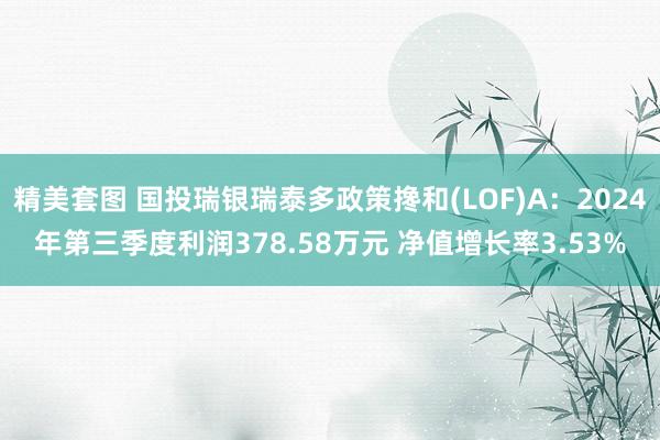 精美套图 国投瑞银瑞泰多政策搀和(LOF)A：2024年第三季度利润378.58万元 净值增长率3.53%