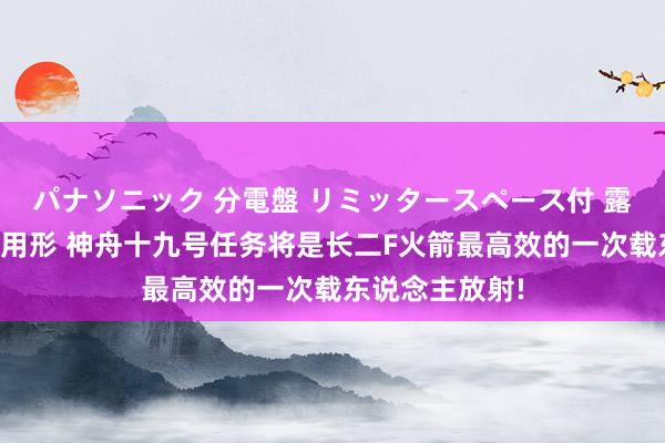 パナソニック 分電盤 リミッタースペース付 露出・半埋込両用形 神舟十九号任务将是长二F火箭最高效的一次载东说念主放射!