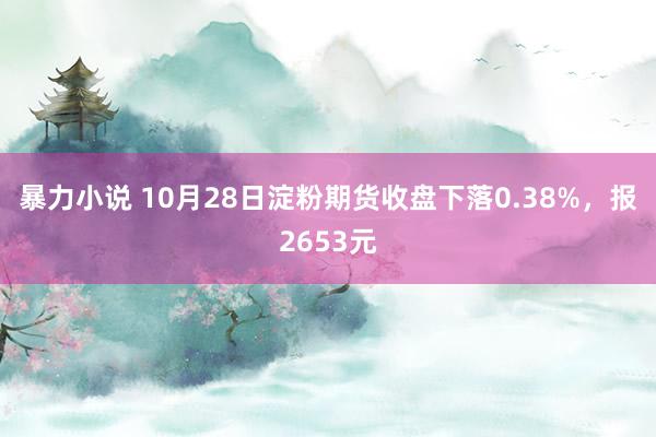 暴力小说 10月28日淀粉期货收盘下落0.38%，报2653元