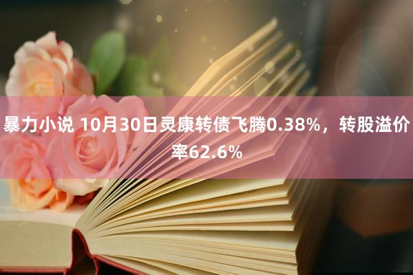 暴力小说 10月30日灵康转债飞腾0.38%，转股溢价率62.6%