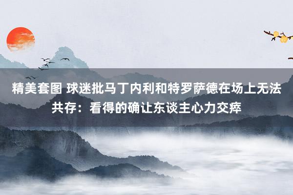 精美套图 球迷批马丁内利和特罗萨德在场上无法共存：看得的确让东谈主心力交瘁