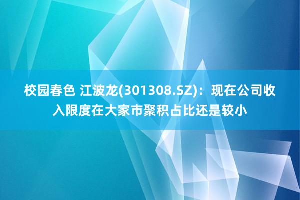 校园春色 江波龙(301308.SZ)：现在公司收入限度在大家市聚积占比还是较小