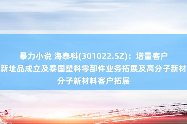 暴力小说 海泰科(301022.SZ)：增量客户主要开始于新址品成立及泰国塑料零部件业务拓展及高分子新材料客户拓展