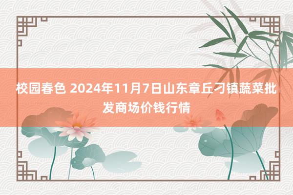 校园春色 2024年11月7日山东章丘刁镇蔬菜批发商场价钱行情